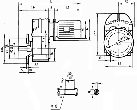 GFF37���b�Y���ߴ�