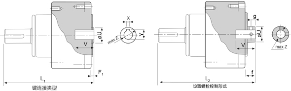 BRS系列球減速機(jī)