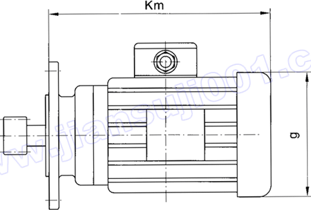WS系列圓柱蝸桿減速電機(jī)附頁(yè)(電機(jī)尺寸)