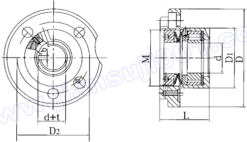 CGZS型帶超越離合器的自鎖裝置(自鎖器)