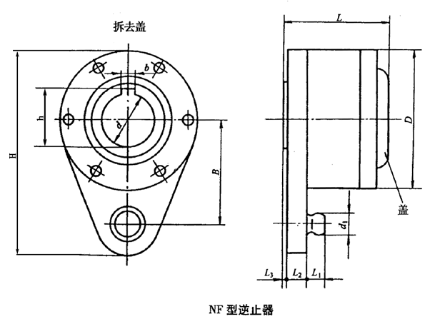 NF型逆止器基本參數(shù)及主要尺寸