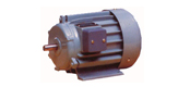 AE系列分馬力三相異步電動機(jī)